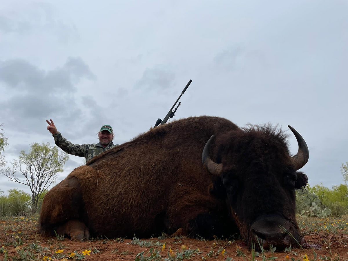 Bison | Harvested | Jayhawk