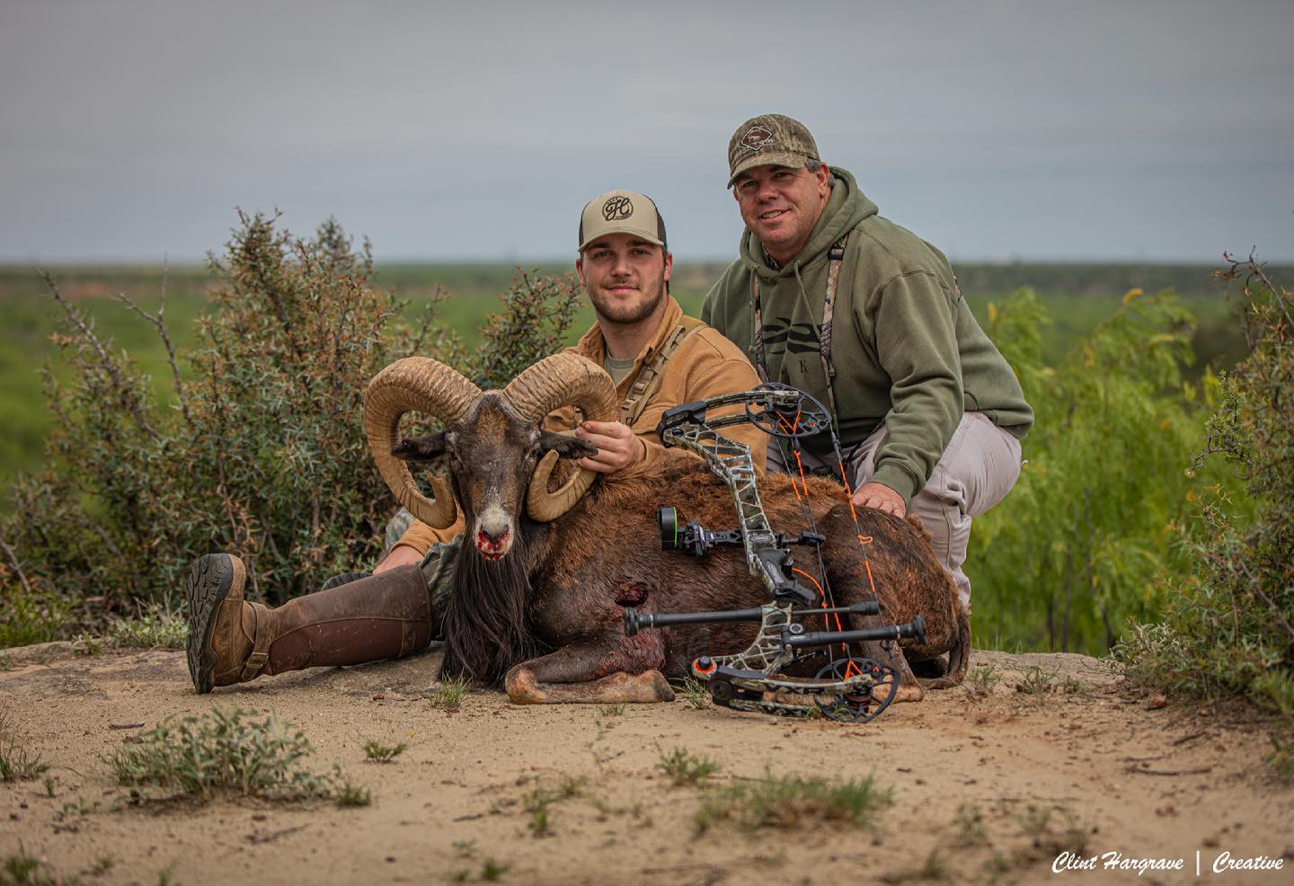 Mouflon 2 | Harvested | Jayhawk