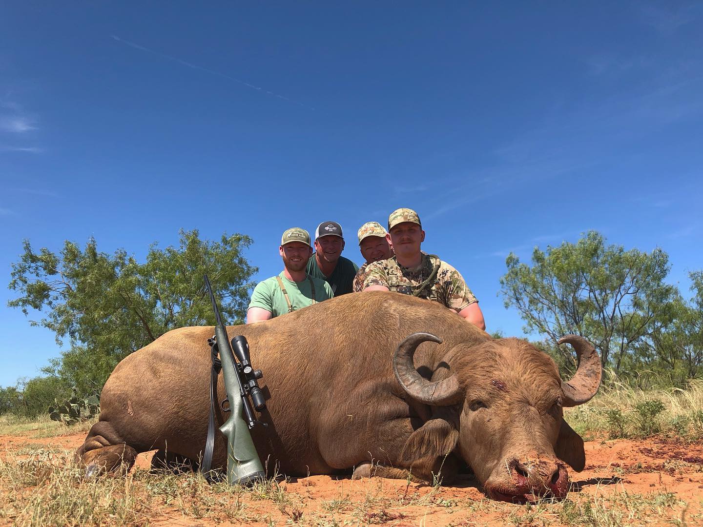 Water Buffalo | Harvested | Jayhawk